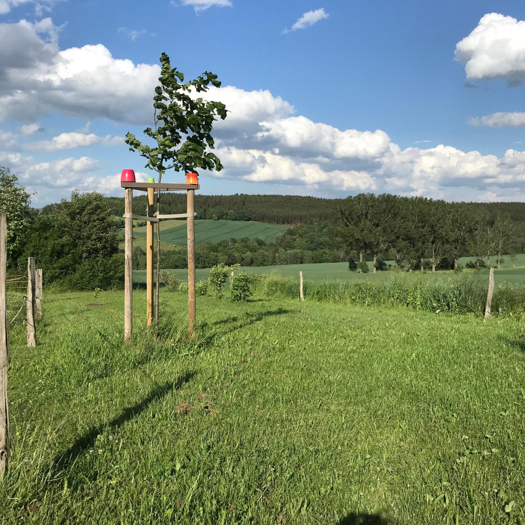 Energietanken Vor Den Toren Dresdens -Barrierefrei- Dippoldiswalde Buitenkant foto