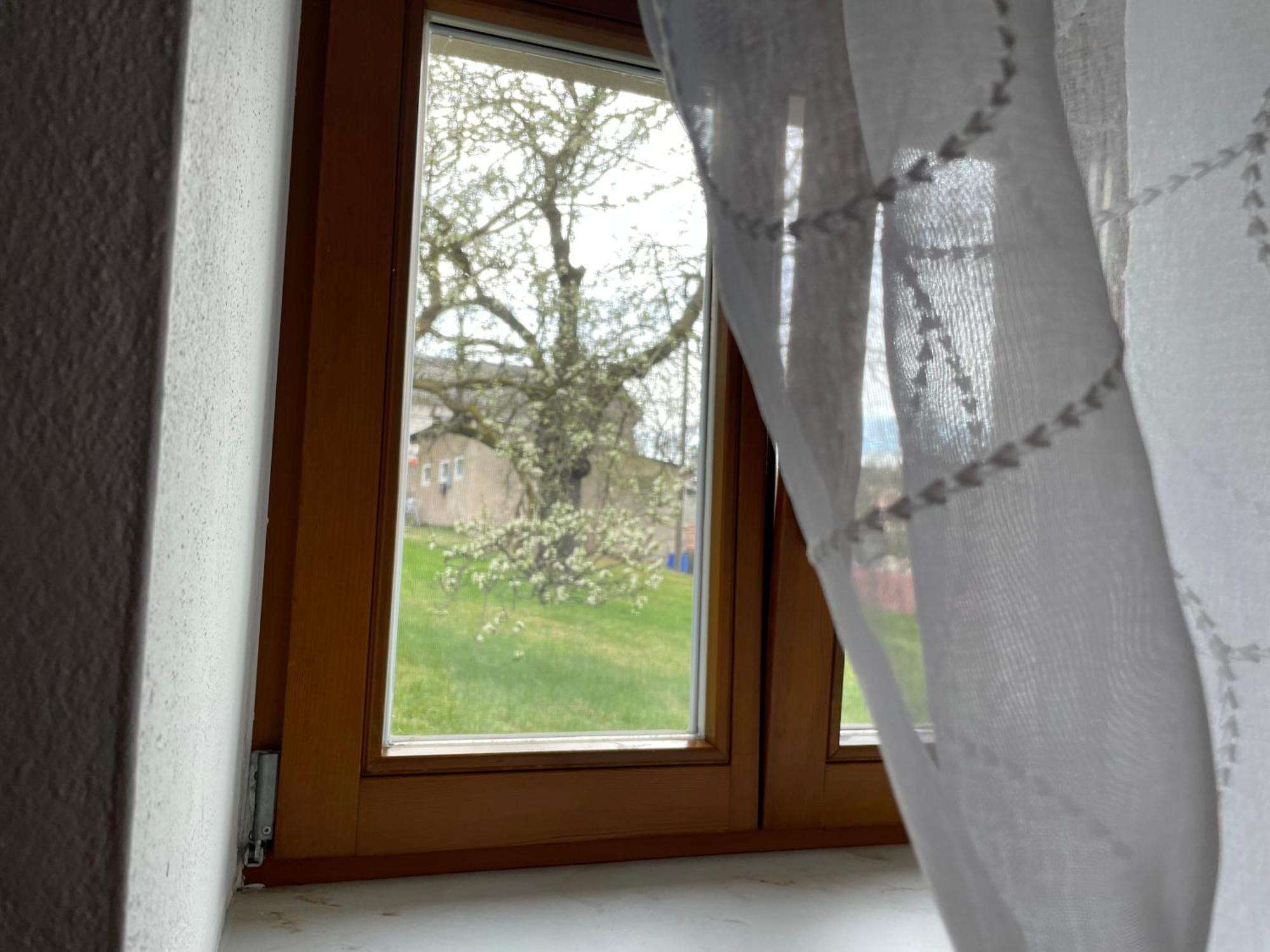 Energietanken Vor Den Toren Dresdens -Barrierefrei- Dippoldiswalde Buitenkant foto